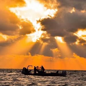 Meet your Posher, Marion